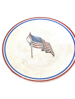 Vintage D. E. McNicol Collector Plate with 48 Star American Flag Design